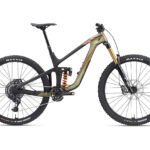 2025 Giant Reign Advanced Pro 0
